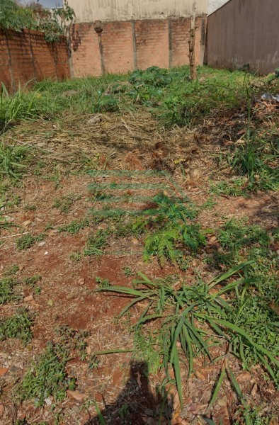 Terreno - Parque das Oliveiras - Ribeirão Preto