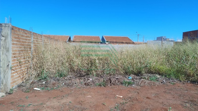 Terreno - PQ DAS GAIVOTAS  - Ribeirão Preto