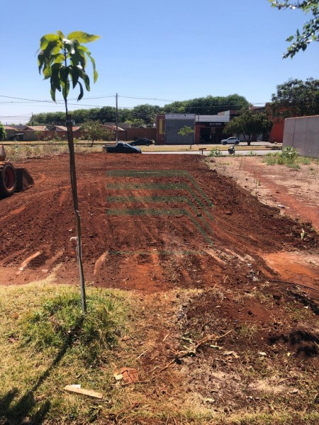 Terreno - CRISTO REDENTOR - Ribeirão Preto