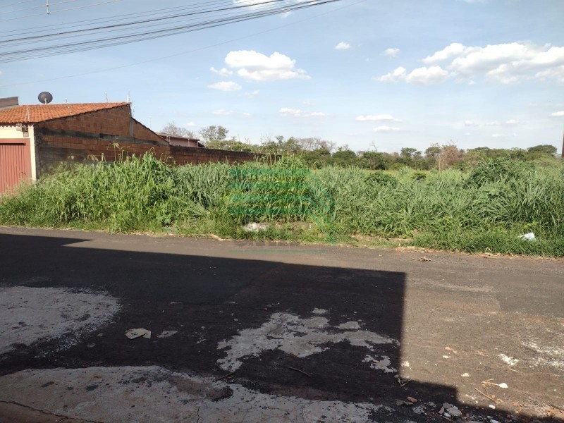 Terreno - Cândido Portinari - Ribeirão Preto