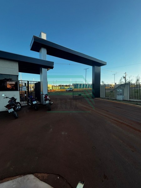 Apartamento - Recreio Anhanguera - Ribeirão Preto