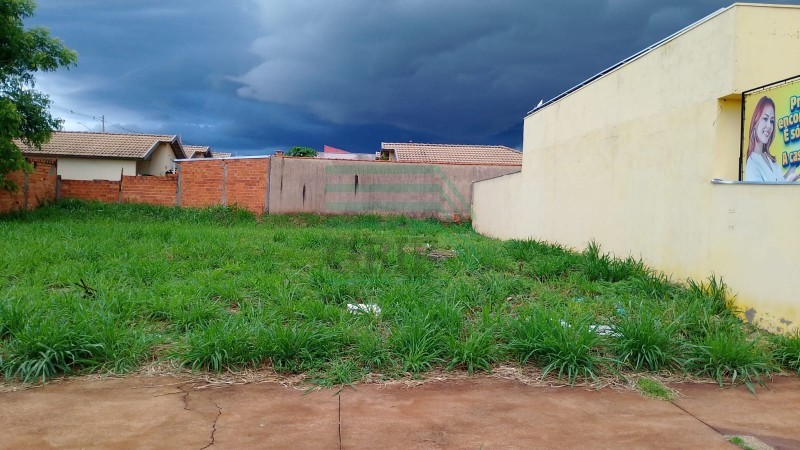 Terreno - CRISTO REDENTOR - Ribeirão Preto