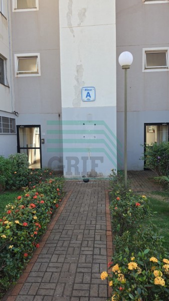 APARTAMENTO - RIBEIRÃO VERDE  - Ribeirão Preto