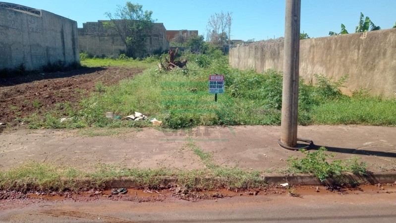 TERRENO - VILA ELISA  - Ribeirão Preto