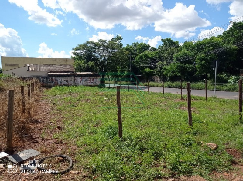 Terreno - JOQUEI CLUBE - Ribeirão Preto