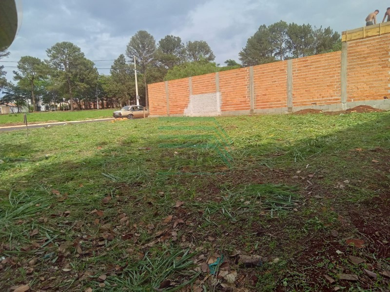 Terreno - CRISTO REDENTOR - Ribeirão Preto