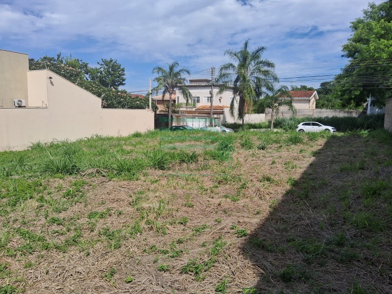 Terreno - Alto da Boa Vista - Ribeirão Preto