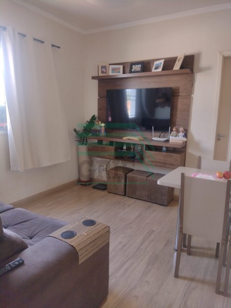 Apartamento - PARQUE DOS PINOS - Ribeirão Preto
