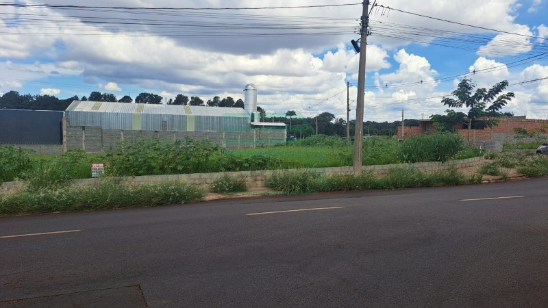 Terreno - Parque das Oliveiras - Ribeirão Preto