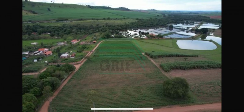 Área - MUNICIPIO SERRA AZUL - SERRA AZUL